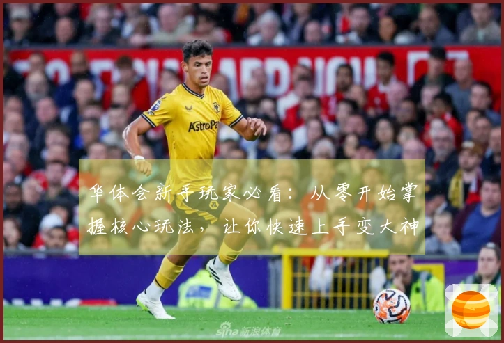 华体会新手玩家必看：从零开始掌握核心玩法，让你快速上手变大神