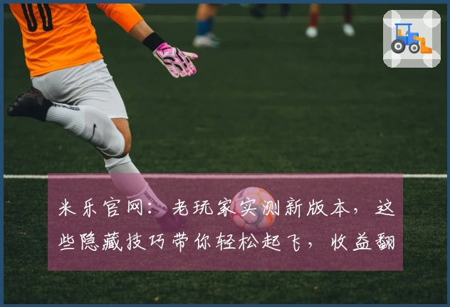 米乐官网：老玩家实测新版本，这些隐藏技巧带你轻松起飞，收益翻倍！