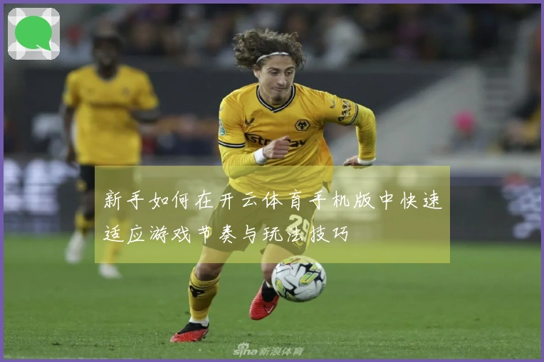 新手如何在开云体育手机版中快速适应游戏节奏与玩法技巧