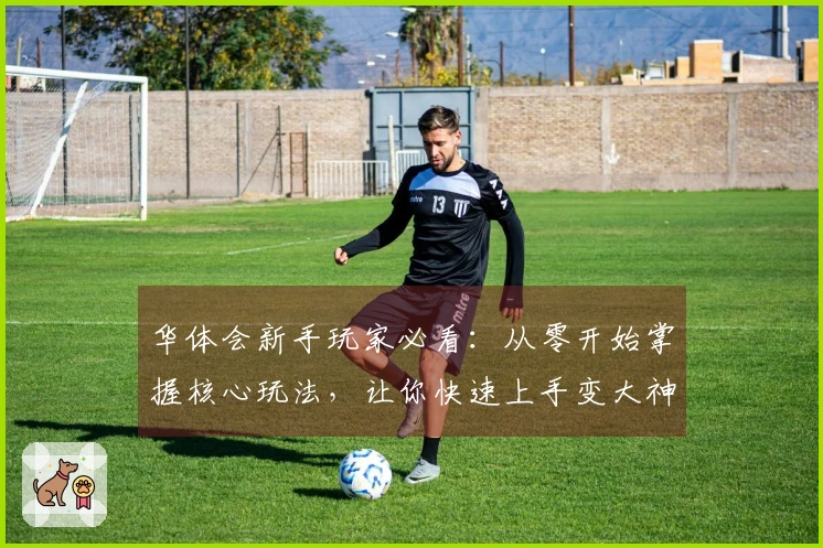 华体会新手玩家必看：从零开始掌握核心玩法，让你快速上手变大神